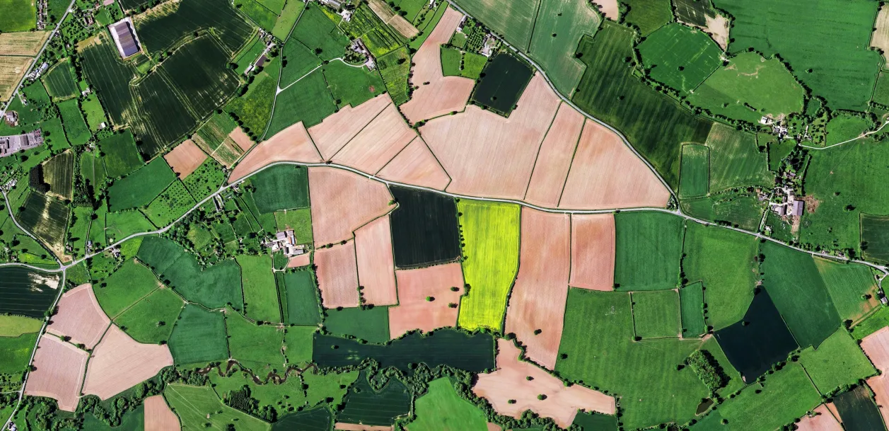 Banner Gestión de riesgo